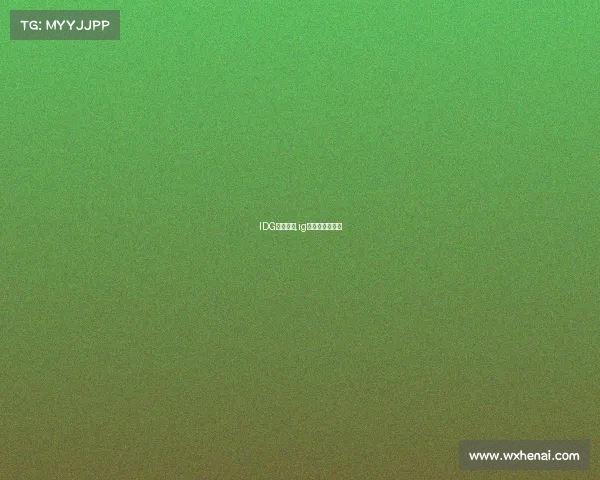 IDG汽车赛事,ig赛车是正规的吗