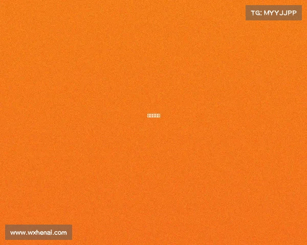 台北公开赛 台北公开赛