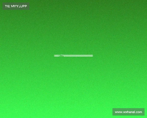 全面解析ATP赛事从入门到精通职业网球巡回赛的秘密及其历史发展