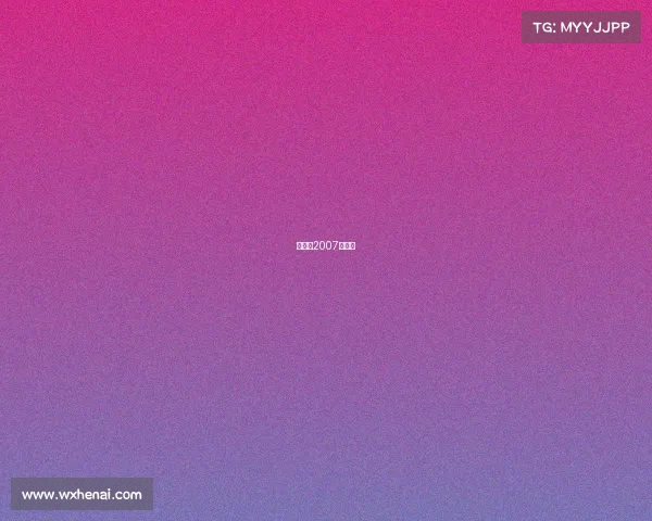 武林风2007年比赛